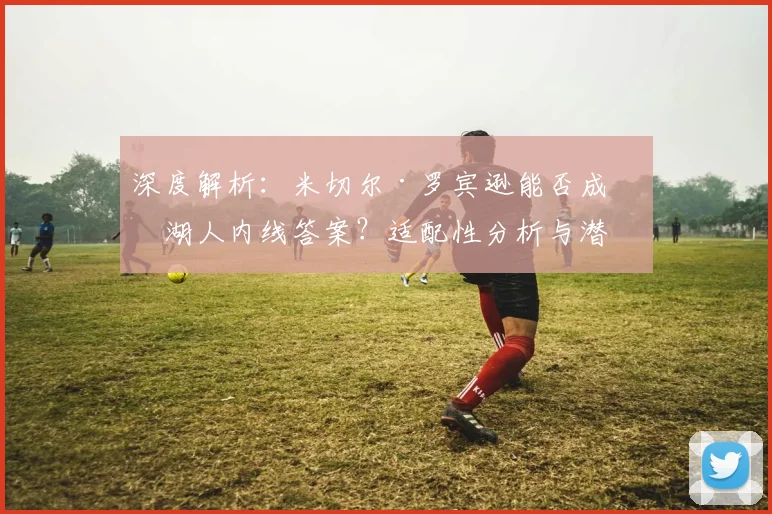 深度解析:米切尔·罗宾逊能否成为湖人内线答案?适配性分析与潜在交易方案探讨